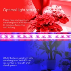Dartwood LED Grow Lights For Indoor Plants With Red Blue Spectrum - Plant Grow Light With 9 Brightness Levels, Auto On Off Function (2 Pack) -Garden & Outdoors GUEST 00dbe90d 2471 439c a428 ae6c053a48d8 1