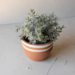 White Striped Terracotta Planter By Foreside Home & Garden
