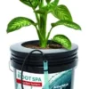 Active Aqua RS5GALSYS Root Spa 5 Gallon Hydroponic Bucket Deep Water Culture Grow Kit System With Multi-Purpose Air Hose And Air Pump, Black