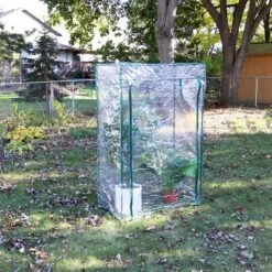 Sunnydaze Decor Sunnydaze Outdoor Deluxe Portable Large Potted Plant And Starter Tomato Plant Greenhouse With Roll-Up Door - Clear -Garden & Outdoors GUEST 270f157e db54 4836 81bd dd140cc5b119