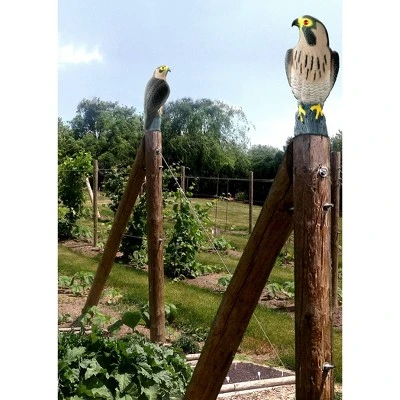 2pk 16" Falcon Decoy - Bird-X 1 2pk 16" Falcon Decoy - Bird-X