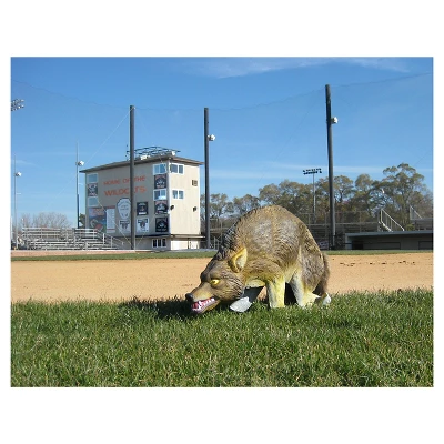 3D Coyote Decoy - Bird-X 2 3D Coyote Decoy - Bird-X - Image 2