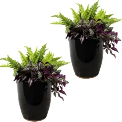 Sunnydaze Decor Sunnydaze Indoor/Outdoor Captivating Vista Decorative Glazed Ceramic Planters For Greenery Or Flowers - 11.5" -Garden & Outdoors GUEST 5aa45bcd 9815 4377 8b98 72b2844e658b