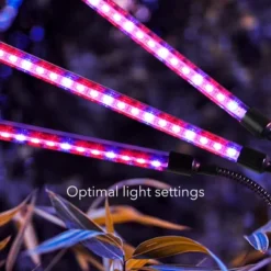 Dartwood LED Grow Lights For Indoor Plants With Red Blue Spectrum - Plant Grow Light With 9 Brightness Levels, Auto On Off Function (2 Pack) -Garden & Outdoors GUEST 64e7f763 cf31 4488 8e7b 2876844a1da3 1