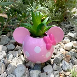 Disney 2pc Indoor/Outdoor Ceramic Mickey And Minnie Mouse Icon Succulent Set Pink/White 15 Disney 2pc Indoor/Outdoor Ceramic Mickey And Minnie Mouse Icon Succulent Set Pink/White -Garden & Outdoors GUEST 80c1da84 d1f9 49eb 960b 9b9daeab6489