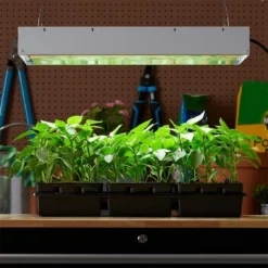 Hydrofarm FLT24 Agrobrite 4-Tube Daisy Chainable Hydroponic 2-Foot Grow Light Fixture 96W With 4-T5 Bulbs For Indoor Home Gardens -Garden & Outdoors GUEST 8bdf897b bb6a 4ac7 91f4 5c6ed21d84eb