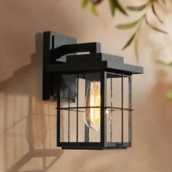 11" Metal/Seeded Glass Modern Outdoor Wall Light Black - LNC