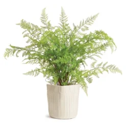 Plum & Post Ryder Cachepot