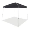 Z-Shade 10 X 10 Foot Angled Leg Outdoor Canopy Tent With A Push Button Locking System And Z-Shade 4 Pack Of Heavy Duty Leg Weight Bags, Black