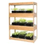 Bamboo LED Grow Light Garden For Succulents And Seeds - Gardener's Supply Company