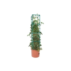 Hydrofarm Tomato Barrel Pot Garden Planting System With 4 Foot Trellis Tower & GROW!T Coco Coir Mix Block For Hydroponics, Indoor, And Outdoor Plants -Garden & Outdoors GUEST bff4c81d 378e 42ae 9bfd 7b6891d6f6f6