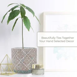 Inspirella 6.3 Inch Timeless Colorful Hand Painted Glazed Ceramic Round Indoor Outdoor Succulent Plant Pots With Drainage Holes And Plugs (3 Pack) -Garden & Outdoors GUEST c0296709 64f5 4bc7 b695 81e5c09045cf