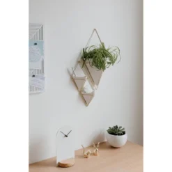 Set Of 2 Trigg Wall Display Planters White/Brass - Umbra -Garden & Outdoors GUEST cb2a6337 4dc3 448e 8a04 477028c17de2