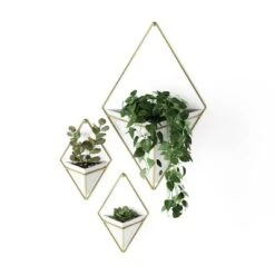 Set Of 2 Trigg Wall Display Planters White/Brass - Umbra -Garden & Outdoors GUEST cd75da93 4476 42a5 aea9 6276fc69deee