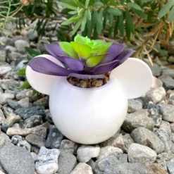 Disney 2pc Indoor/Outdoor Ceramic Mickey And Minnie Mouse Icon Succulent Set Pink/White 11 Disney 2pc Indoor/Outdoor Ceramic Mickey And Minnie Mouse Icon Succulent Set Pink/White -Garden & Outdoors GUEST db498e35 92a9 4088 94d1 2f6cf500232c