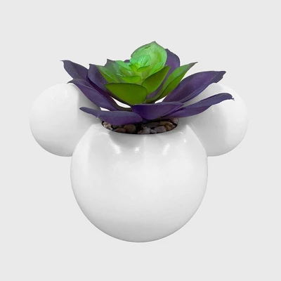 Disney 2pc Indoor/Outdoor Ceramic Mickey And Minnie Mouse Icon Succulent Set Pink/White 1 Disney 2pc Indoor/Outdoor Ceramic Mickey And Minnie Mouse Icon Succulent Set Pink/White